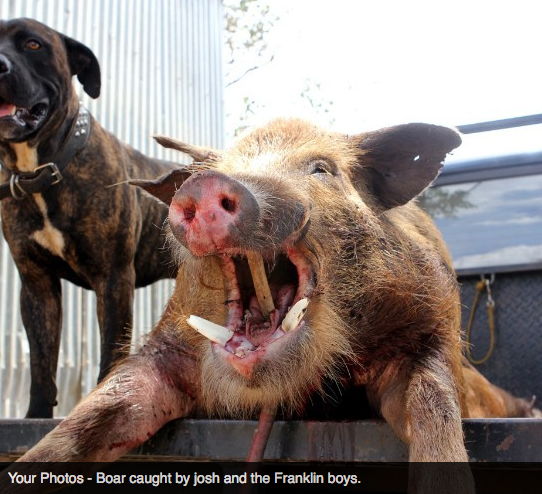 Screen Shot 2013-10-02 at 1.35.57 PM